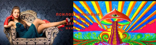 ешки Беломорск